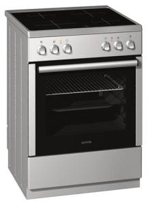 Gorenje E21T1-E64M/01 EC61102AX onderdelen en accessoires