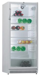 Gorenje HS2966/01 RVC6294W onderdelen en accessoires